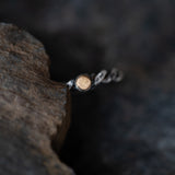 Anillo Uróboros