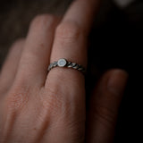 Anillo Uróboros