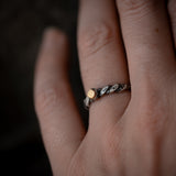 Anillo Uróboros