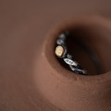 Anillo Uróboros