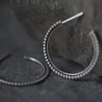 Imagen de diapositiva