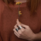 Anillo Corticis