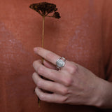 Anillo Ajna (ed. limitada)